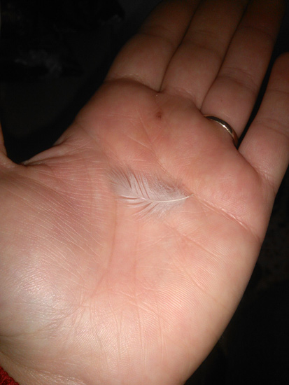 signs of love from my little sister in the Sky image
