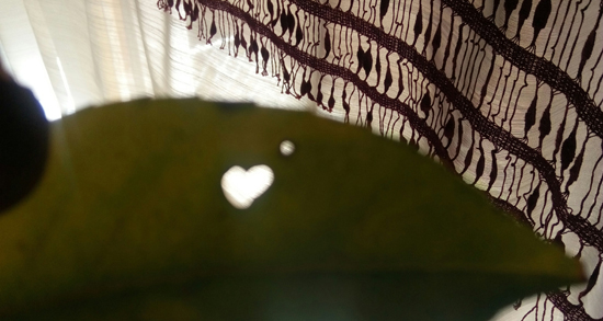 immagine de un foro a forma di cuore illuminato dalla luce