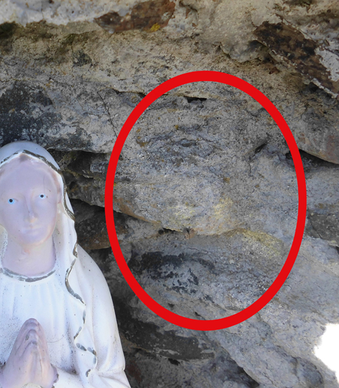 particolare della foto dove si vede il volto della Madonna di Tascusì