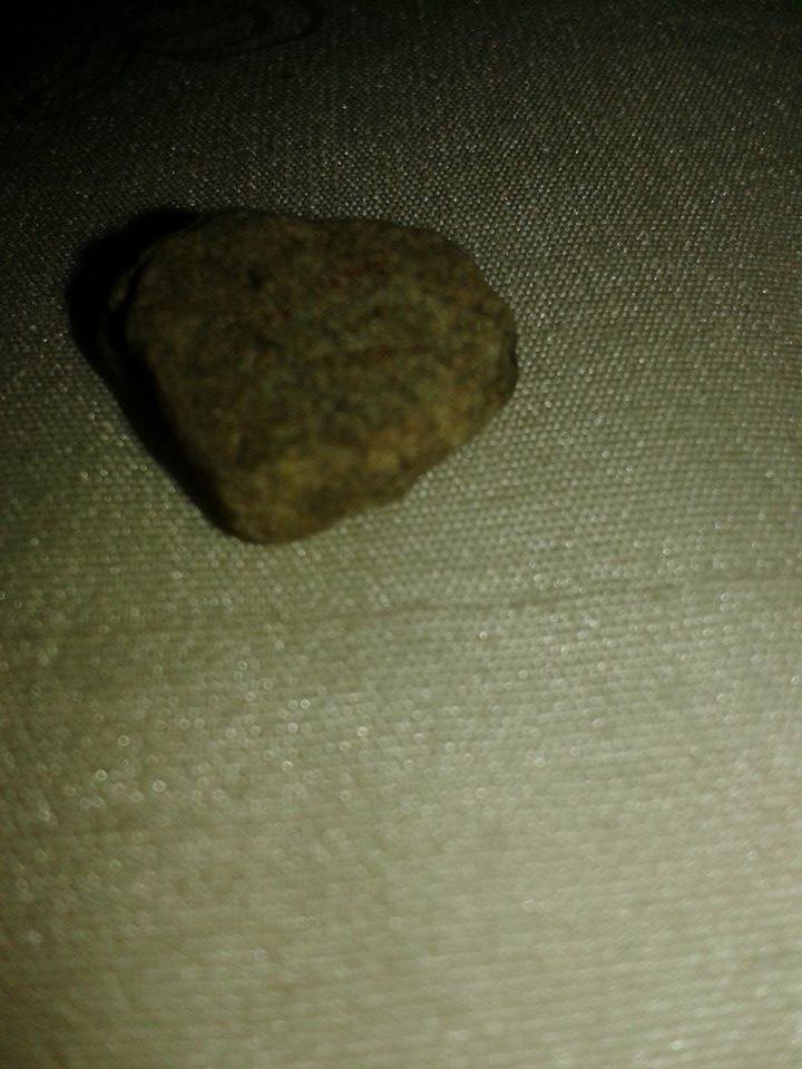 Little heart shaped pebble image
