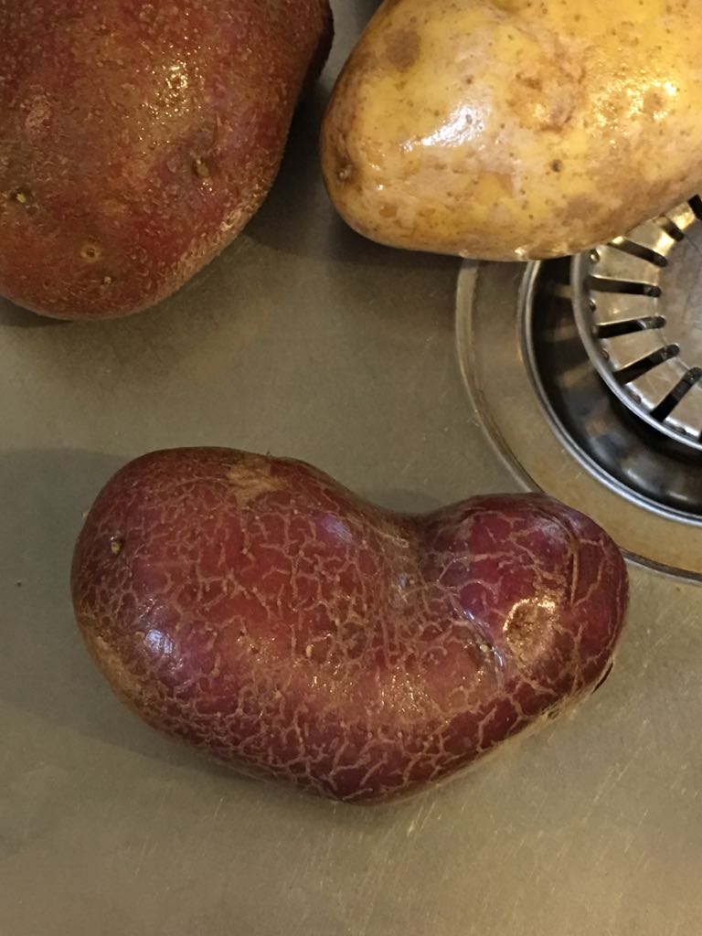 patata rossa a forma di cuore