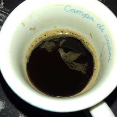 colomba immagine nel caffè