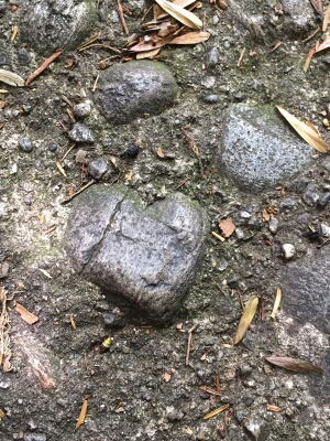 sasso blu a forma di cuore